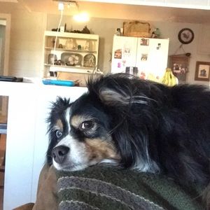 Meet your Posher, Laura